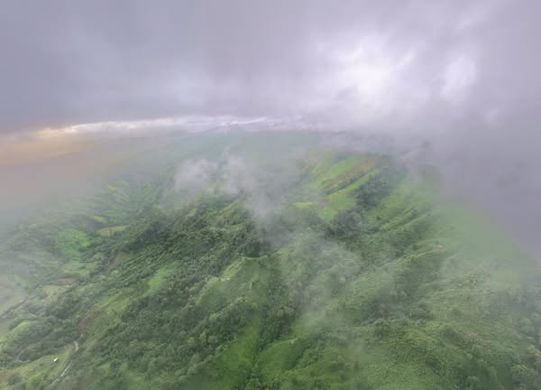 Tea garden in Srimangal